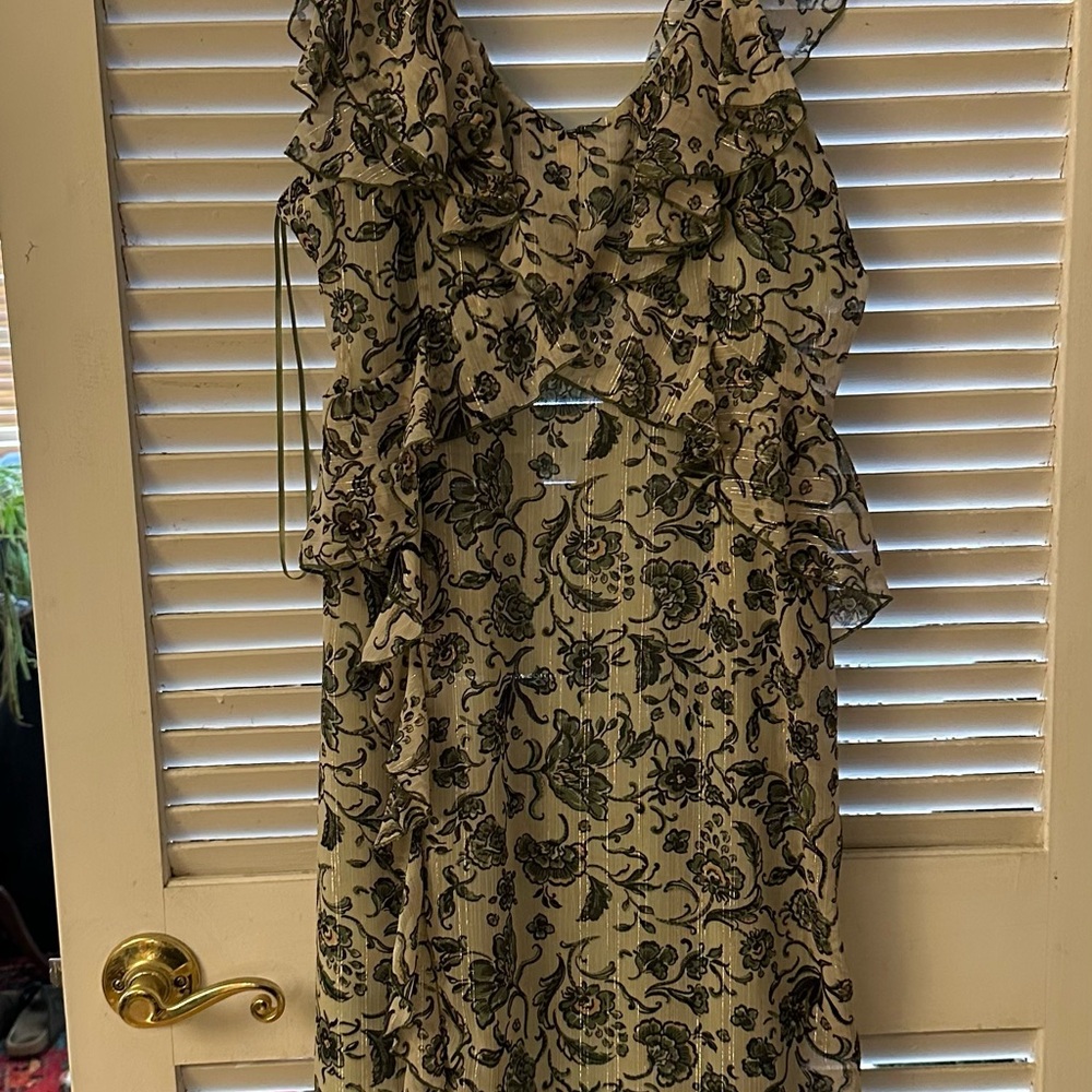 Zara Floral Green and Black Women's Dress